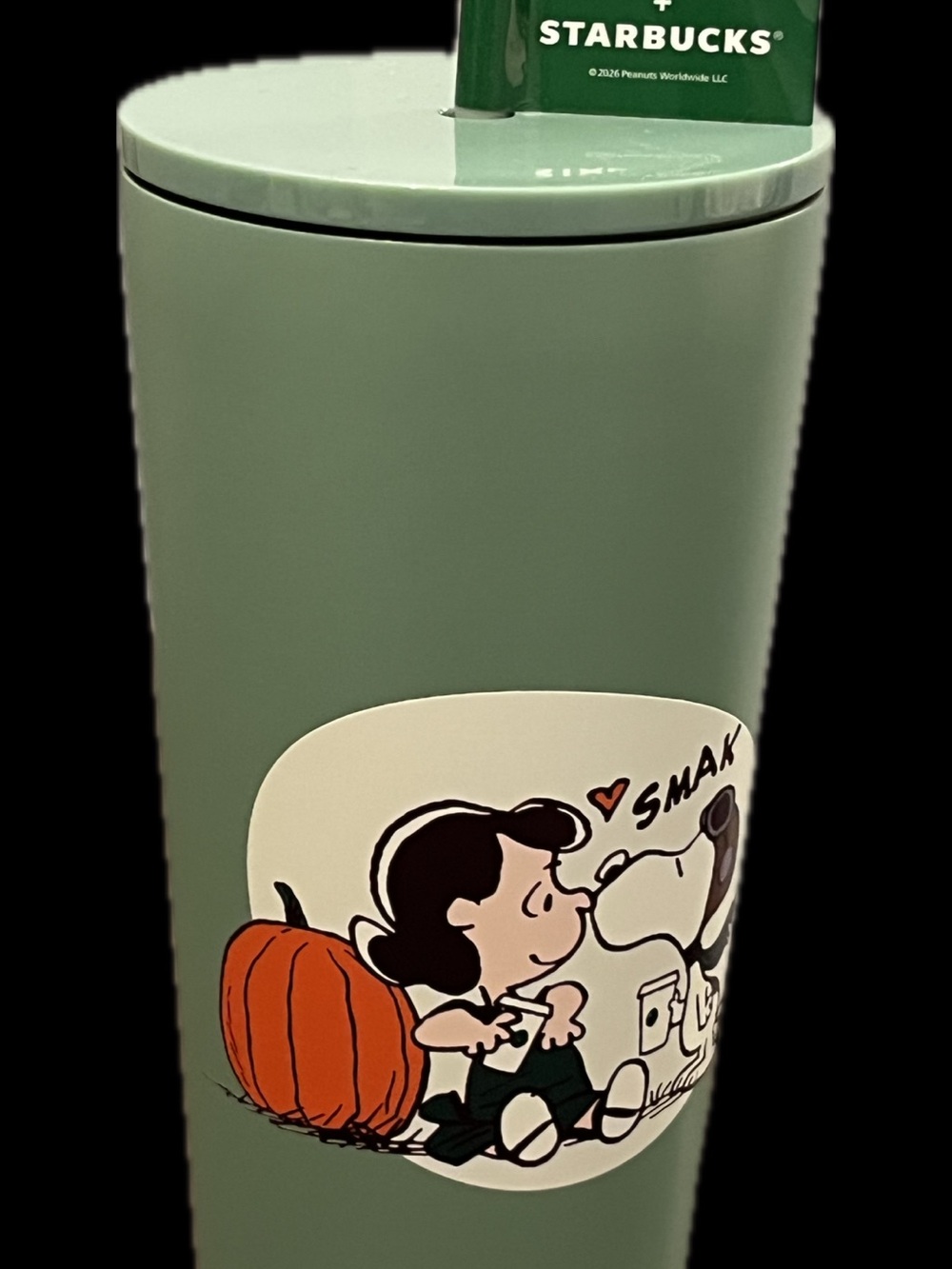Starbucks Peanuts Snoopy Stainless Steel Cold Cup with Straw NWT